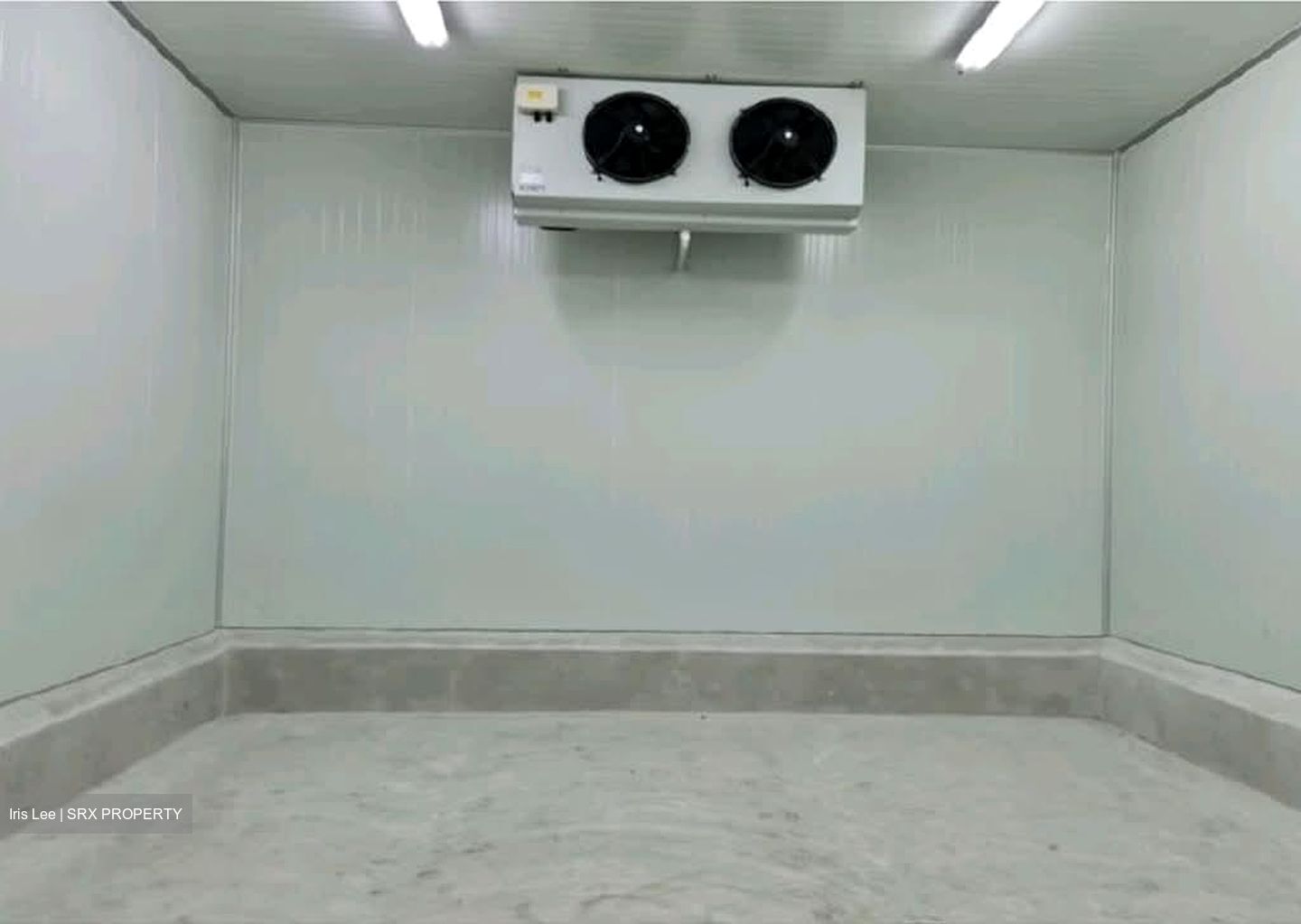 Owl International (D22), Factory #547286331